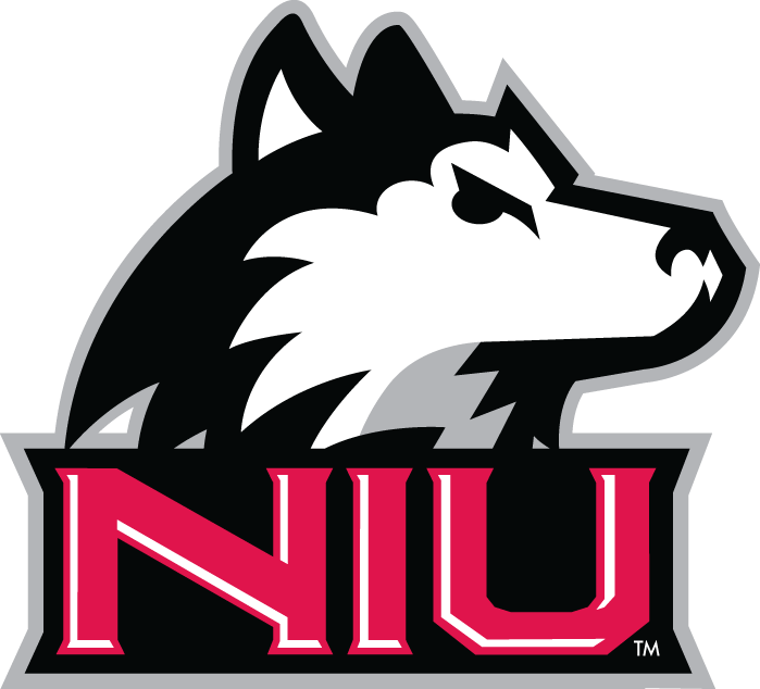 Northern Illinois Huskies 2001-Pres Alternate Logo v3 diy fabric transfer